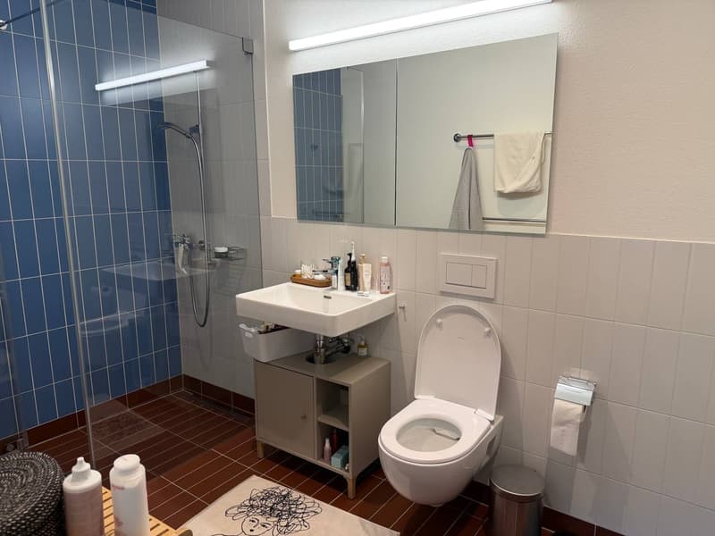 Appartamento 4 ½ locali, 8041 Zurigo (13)