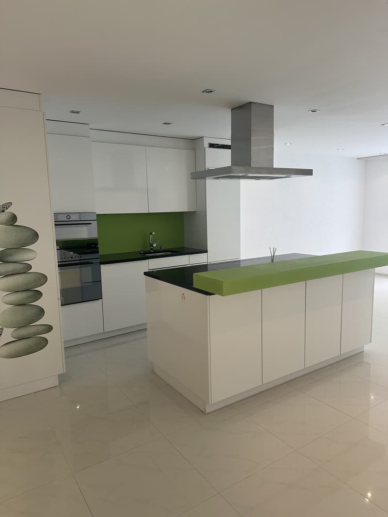 Modern and bright 4.5 room apartment, 115 m2, south-facing, large balcony, elevator, washing machine and tumble dryer (2)