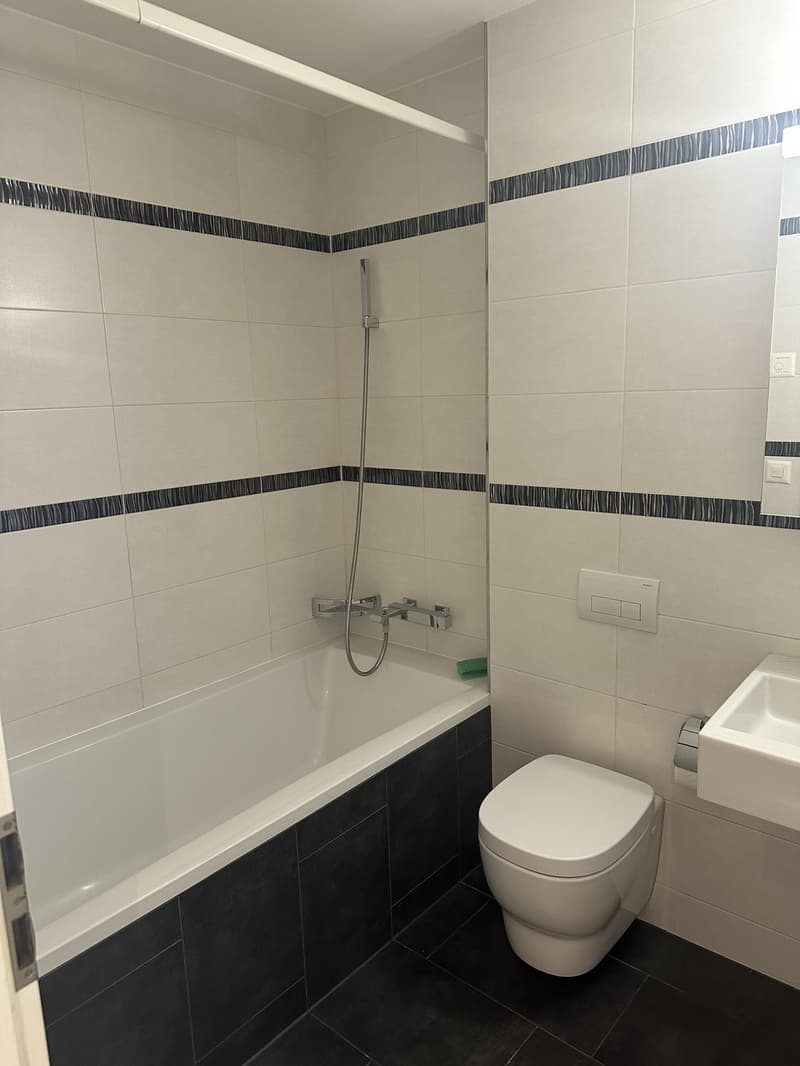 Modern and bright 4.5 room apartment, 115 m2, south-facing, large balcony, elevator, washing machine and tumble dryer (8)