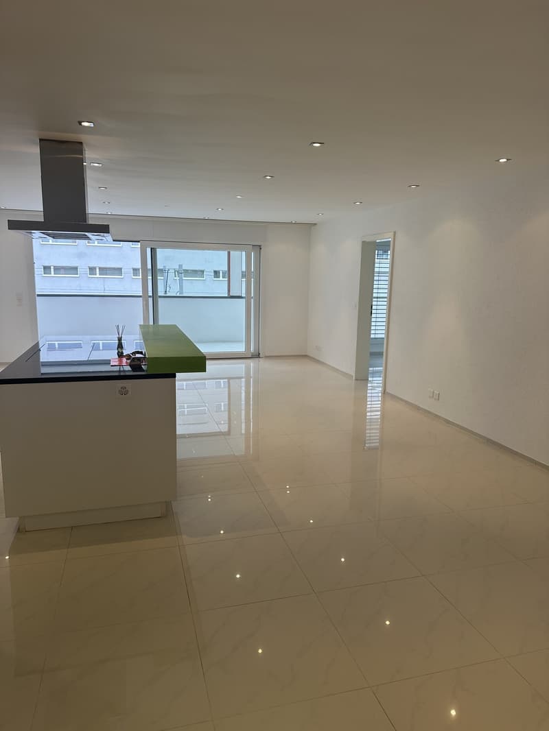 Modern and bright 4.5 room apartment, 115 m2, south-facing, large balcony, elevator, washing machine and tumble dryer (3)