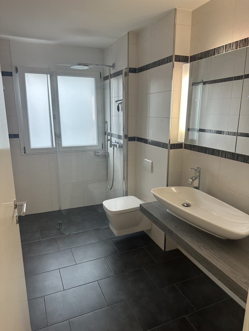 Modern and bright 4.5 room apartment, 115 m2, south-facing, large balcony, elevator, washing machine and tumble dryer (7)