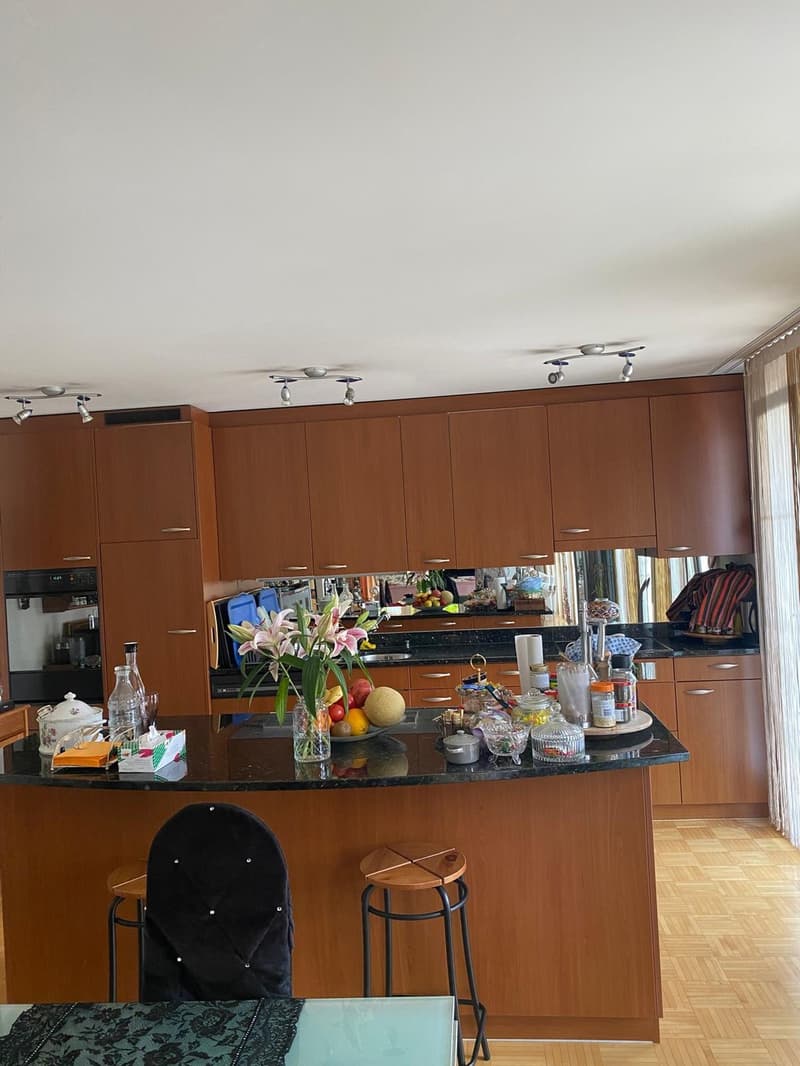 Casa familiare di 5,5 locali con giardino circondante, camino, garage e 4 posti auto a Unterengstringen (5)