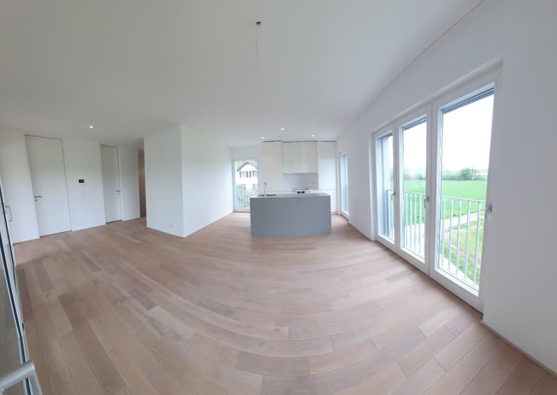Nouvelle maisonette 4,5 pièces - vue sur le vert - énergie solaire - très centrale! (8)