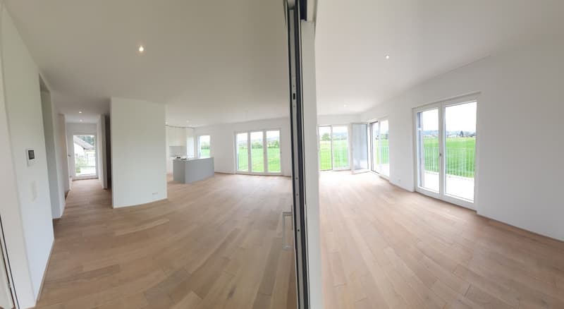 Nouvelle maisonette 4,5 pièces - vue sur le vert - énergie solaire - très centrale! (11)