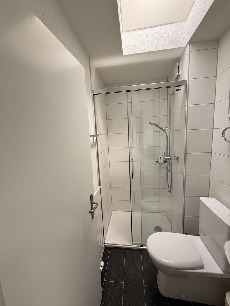 Charmantes 5½-Zimmer-Reihenfamilienhaus am Waldrand  möbliert, sofort bezugsbereit (8)