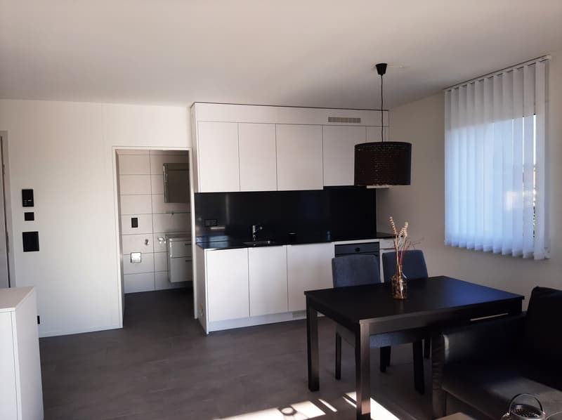 möblierte Wohnung inkl. Allem in Aarau/Rohr ab 01.08.2026 zu vermieten (9)