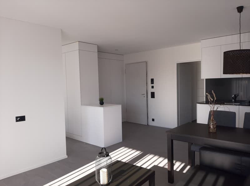 möblierte Wohnung inkl. Allem in Aarau/Rohr ab 01.08.2026 zu vermieten (8)