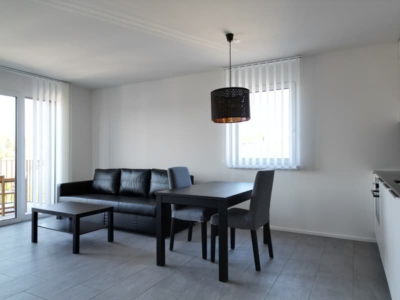 möblierte Wohnung inkl. Allem in Aarau/Rohr ab 01.08.2026 zu vermieten (7)