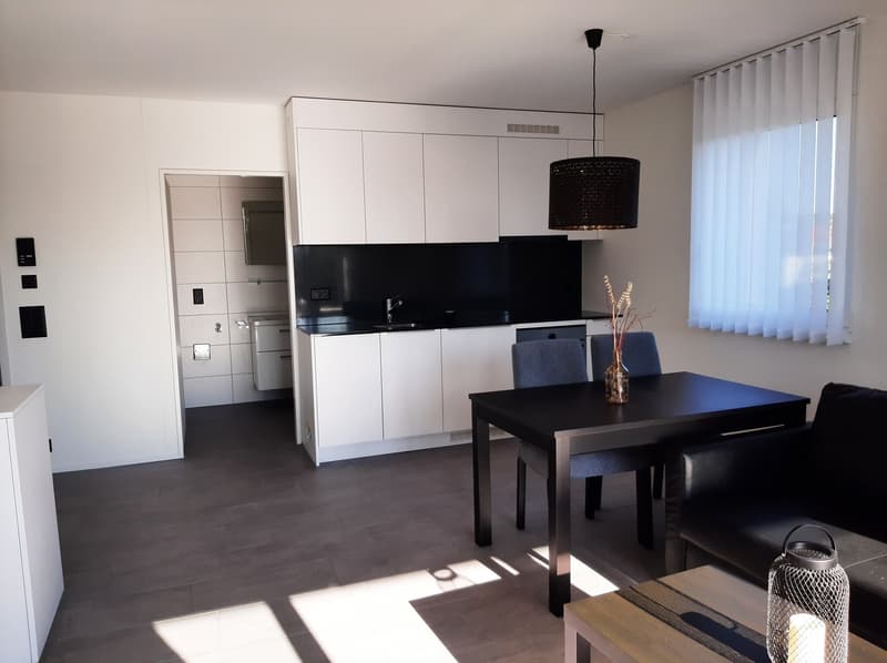 möblierte Wohnung inkl. Allem in Aarau/Rohr ab 01.08.2026 zu vermieten (13)