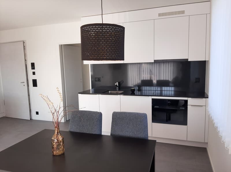 möblierte Wohnung inkl. Allem in Aarau/Rohr ab 01.08.2026 zu vermieten (11)