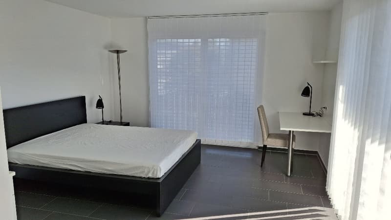 möblierte Wohnung für kurz und lang inkl. allem gegenüber KSA ab 1.7.2026 (4)