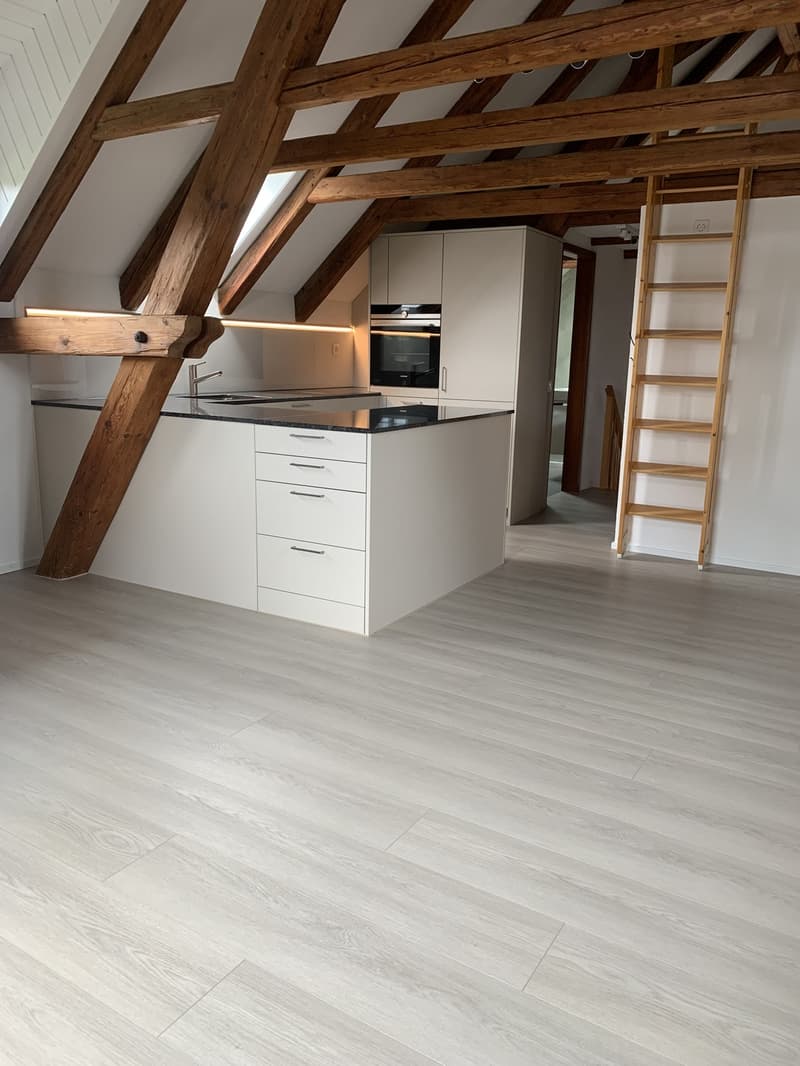 Appartement 3,5 pièces dans la vieille partie du village d'Otelfingen (3)