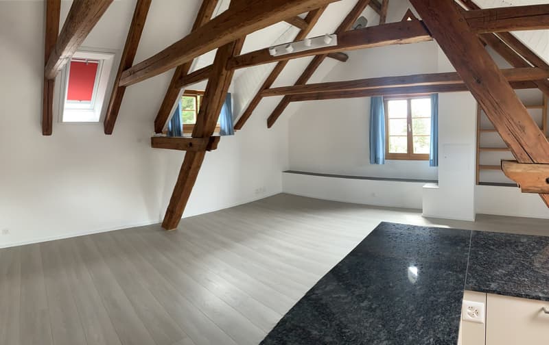 Appartement 3,5 pièces dans la vieille partie du village d'Otelfingen (6)