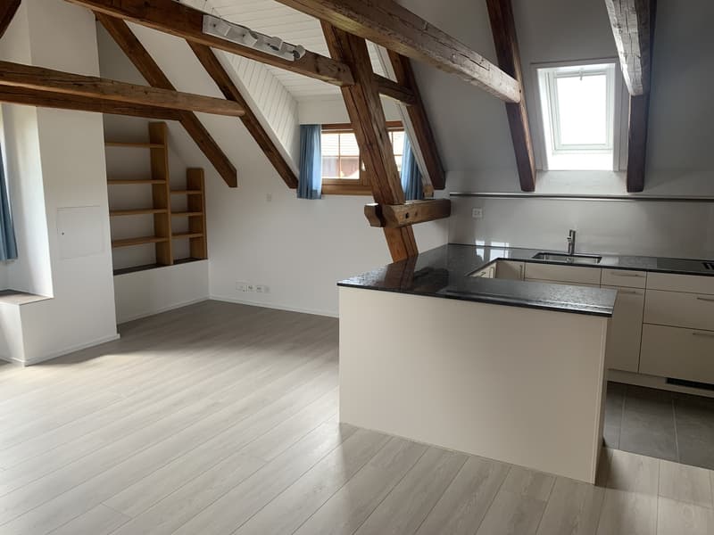 Appartement 3,5 pièces dans la vieille partie du village d'Otelfingen (1)