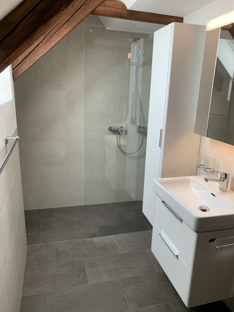Appartement 3,5 pièces dans la vieille partie du village d'Otelfingen (7)