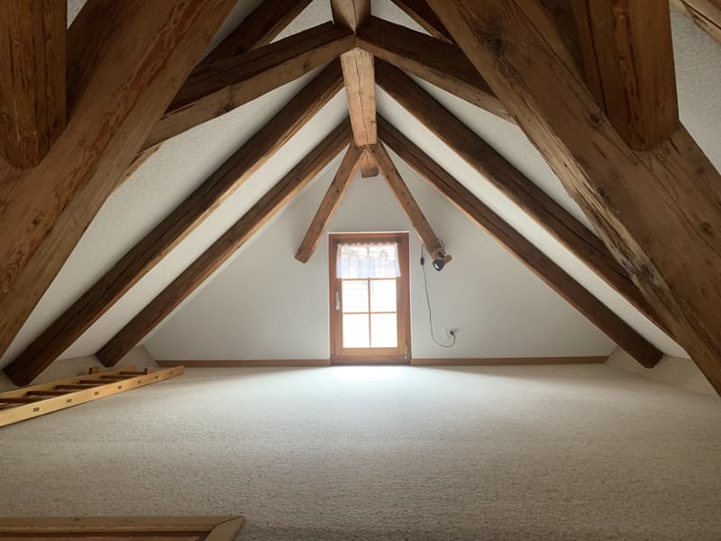 Appartement 3,5 pièces dans la vieille partie du village d'Otelfingen (5)