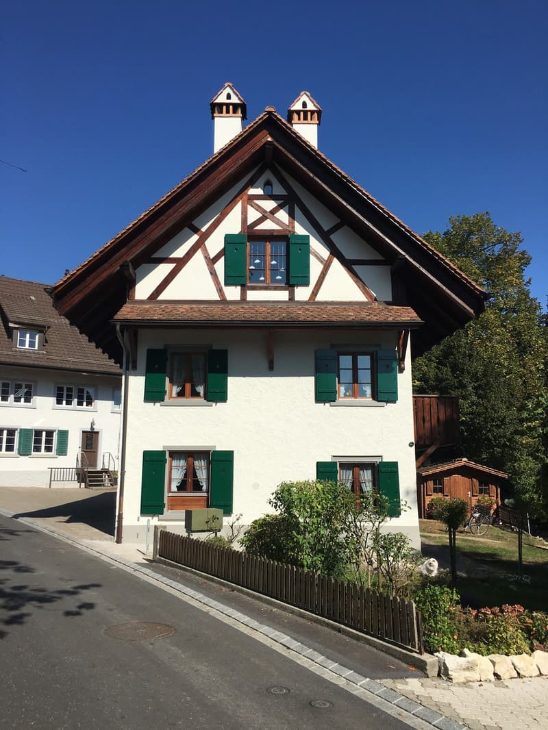 Appartement 3,5 pièces dans la vieille partie du village d'Otelfingen (2)