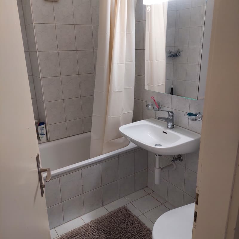 Sous-location meublée (4)