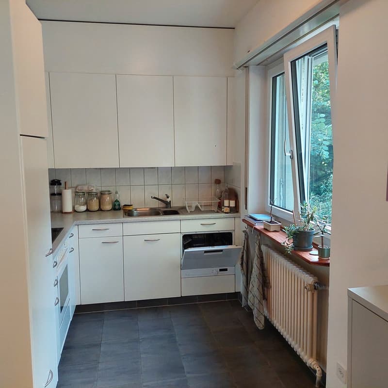 Sous-location meublée (12)