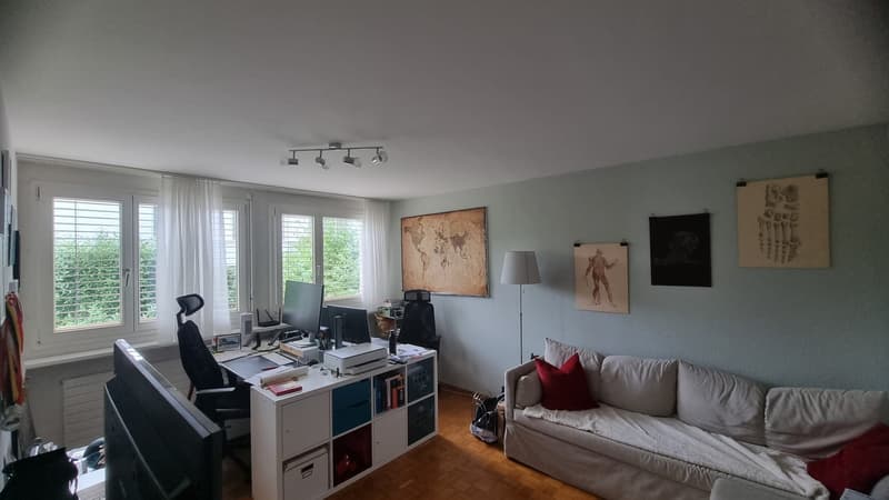 Appartement en attique 3.5 pièces avec terrasse spacieuse et vue (3)
