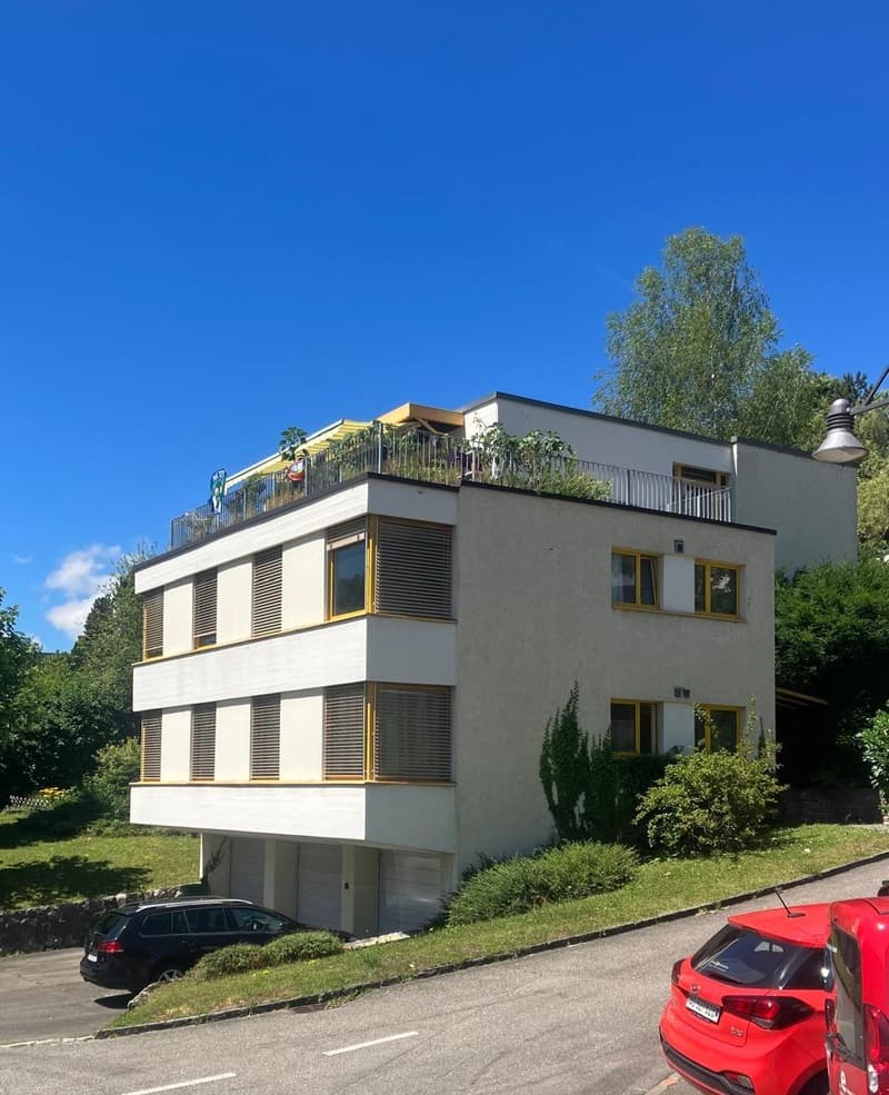 Appartement en attique 3.5 pièces avec terrasse spacieuse et vue (8)