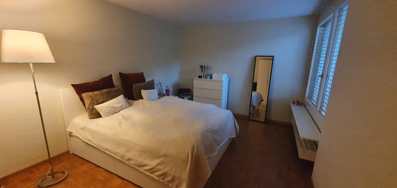 Appartement en attique 3.5 pièces avec terrasse spacieuse et vue (4)