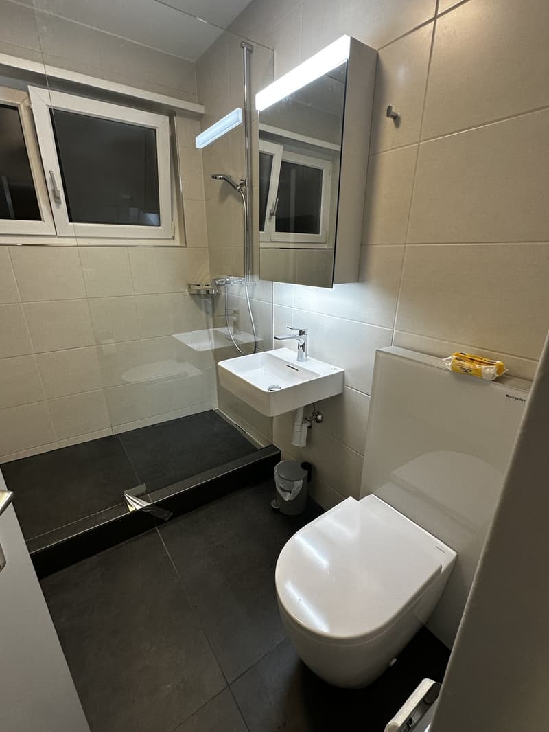 Wunderschöne 2.5-Zimmer-Wohnung mit Garagenplatz per 1.8.26 zu vermieten - Ruhige Lage mit Aussicht! (6)