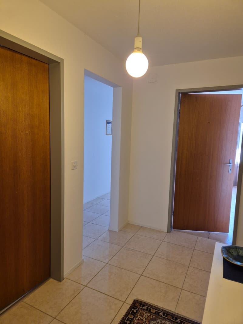 Beautiful 6-room apartment in Bellach (11)