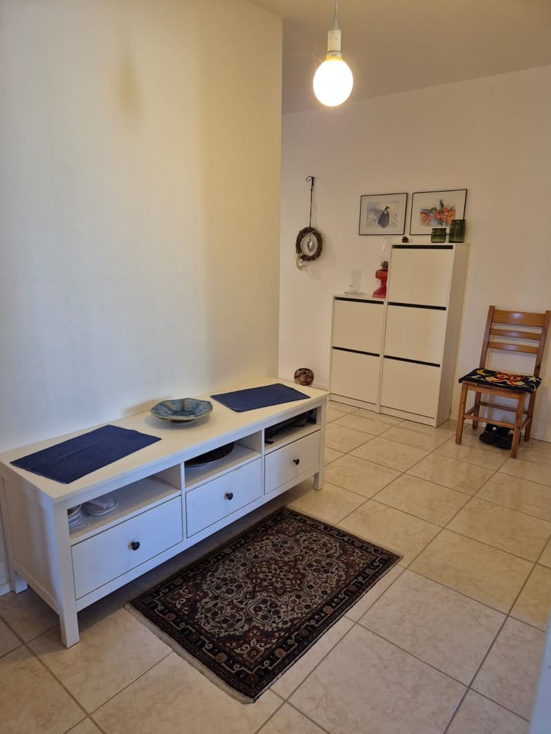 Beautiful 6-room apartment in Bellach (4)
