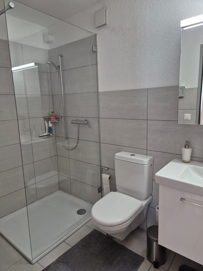Beautiful 6-room apartment in Bellach (13)