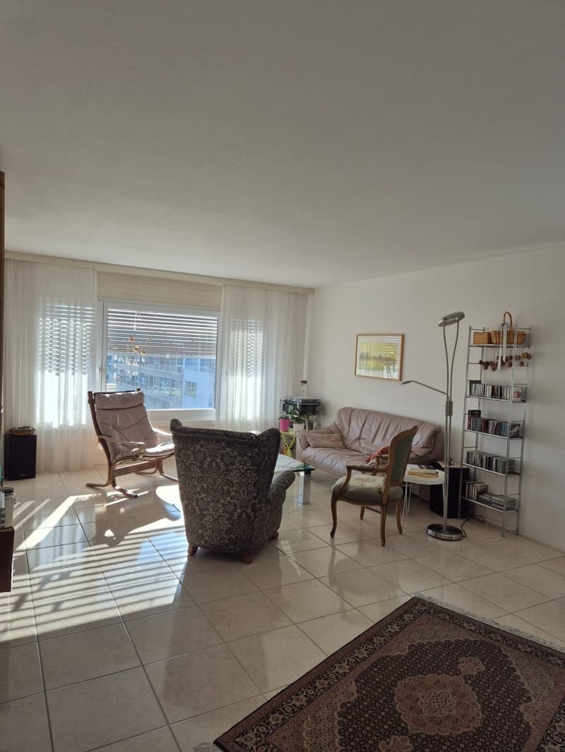 Beautiful 6-room apartment in Bellach (9)