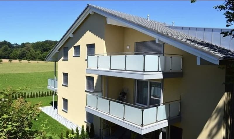 3 ½ Zimmer-Wohnung, 5622 Waltenschwil (8)