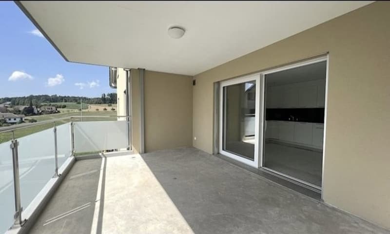 3 ½ Zimmer-Wohnung, 5622 Waltenschwil (6)