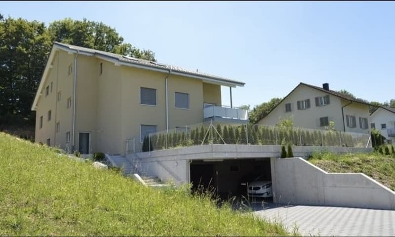 3 ½ Zimmer-Wohnung, 5622 Waltenschwil (7)