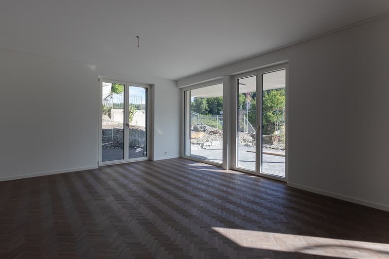 Appartamento nuovo esclusivo 3.5 locali (100m²) con 43m² di spazio esterno vicino a Zurigo (4)