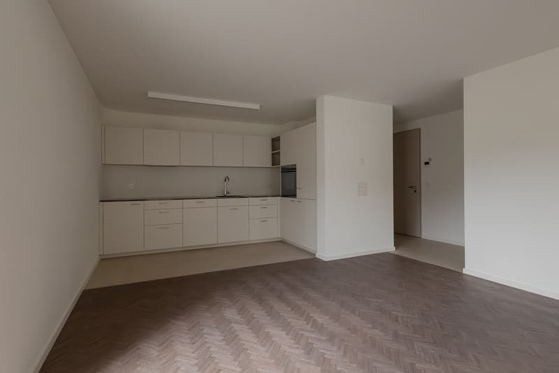 Appartamento nuovo esclusivo 3.5 locali (100m²) con 43m² di spazio esterno vicino a Zurigo (7)