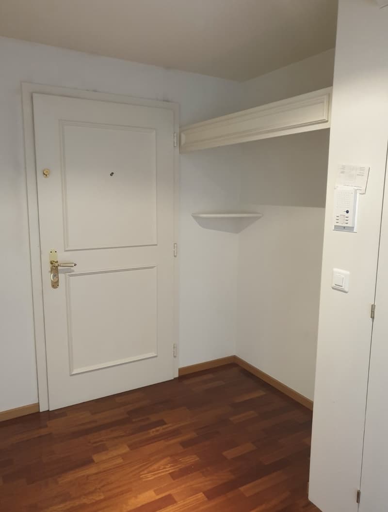 Recherche locataire : appartement de haut standing dans un excellent emplacement près de la Paradeplatz (2)