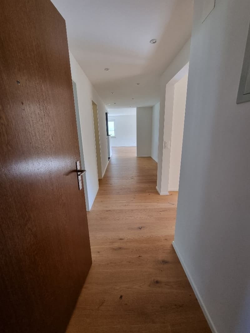 Bright 4.5-room apartment with garden, 2 garage spaces, and hobby room in Thalwil (11)