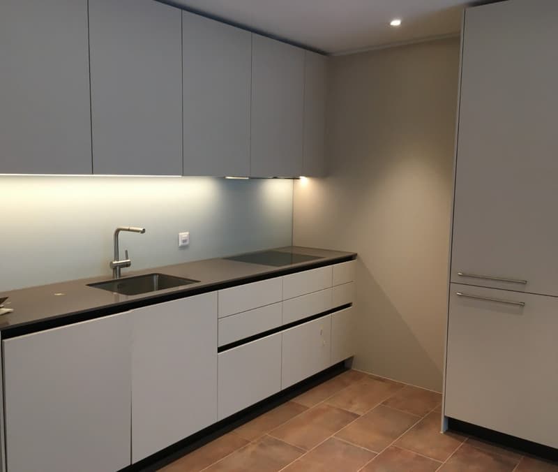 Beautiful furnished apartment in Wollishofen, with private terrace (3)