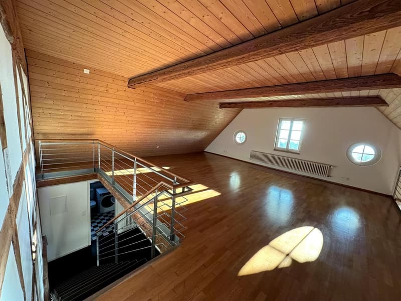 Appartement spacieux (95 m²) avec cheminée sur le Hubelgut (7)