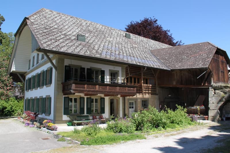 Appartement spacieux (95 m²) avec cheminée sur le Hubelgut (10)