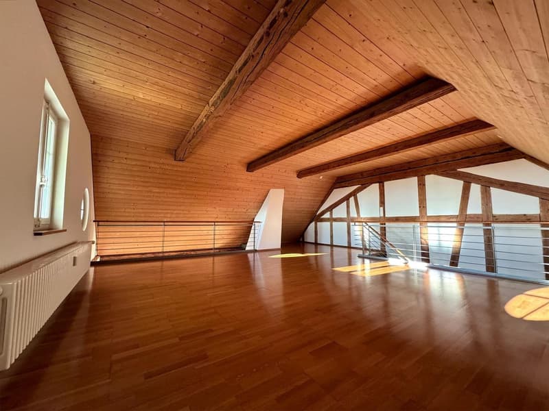 Appartement spacieux (95 m²) avec cheminée sur le Hubelgut (6)