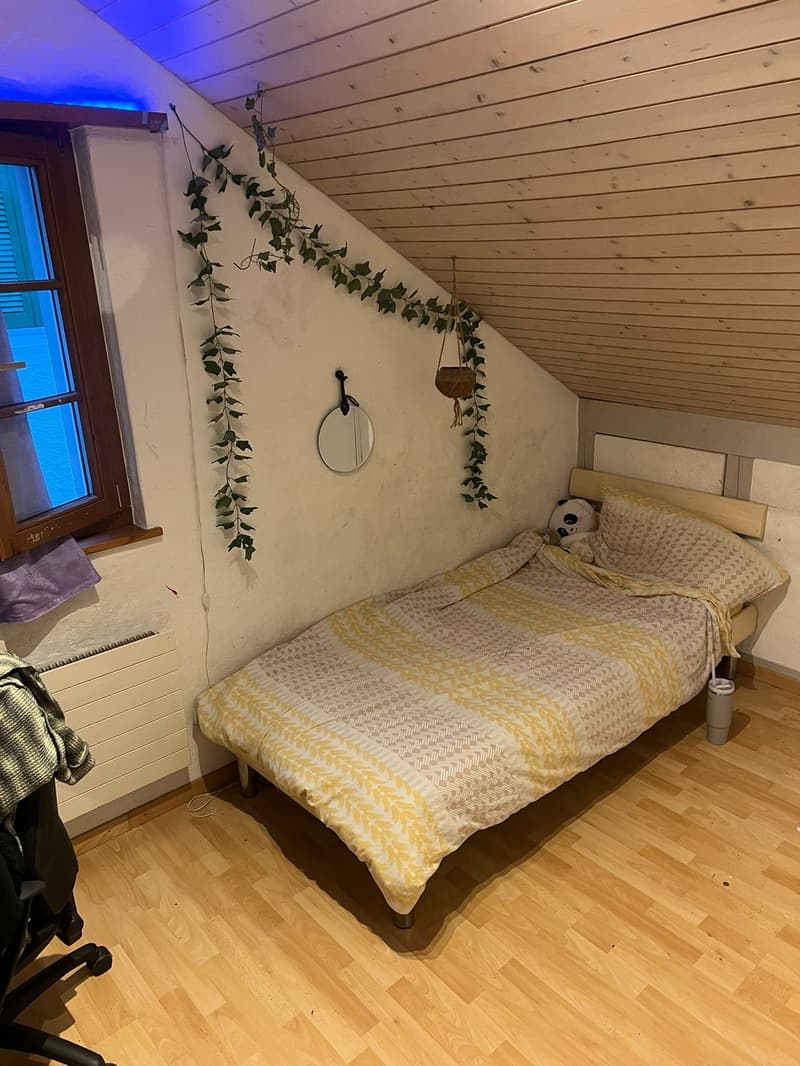 4,5 Zimmer Wohnug (2)