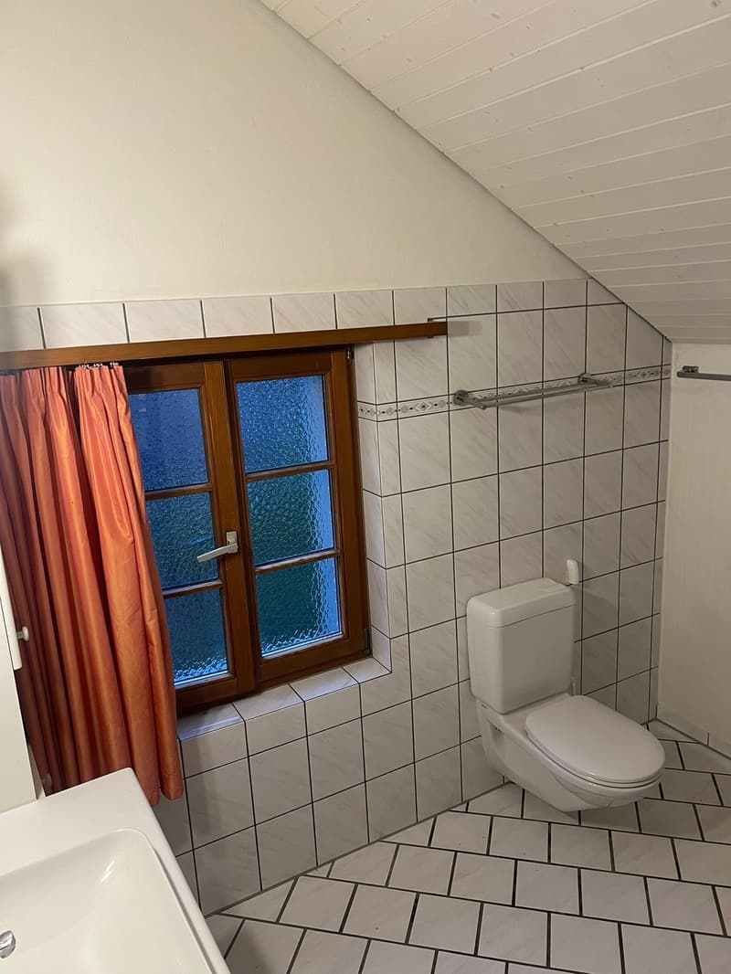 4,5 Zimmer Wohnug (7)
