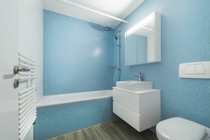 Moderne 2,5 Zimmer Whn Nachmieter Gesucht (7)