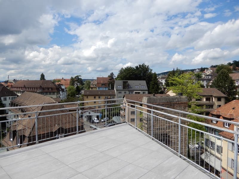Appena ristrutturato con grande terrazza in zincato e vista magnifica (2)