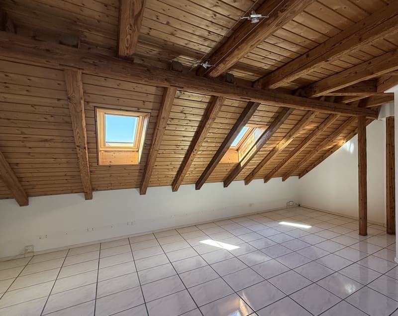 Appena ristrutturato con grande terrazza in zincato e vista magnifica (7)
