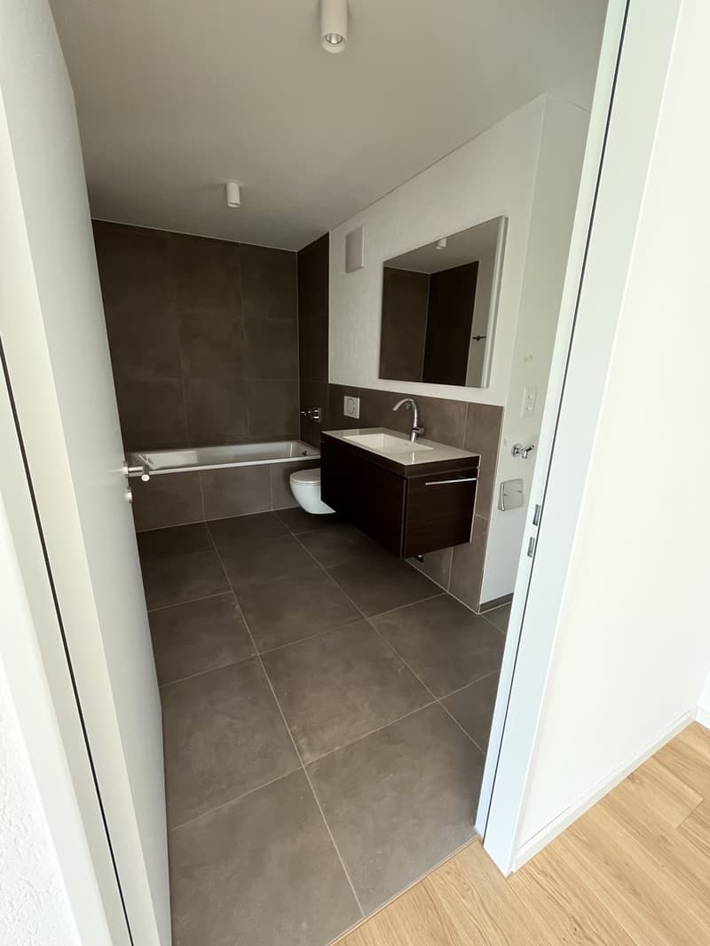 Primo affitto 3.5 locali appartamento 158m2 stile loft, 2600.- Fr (7)