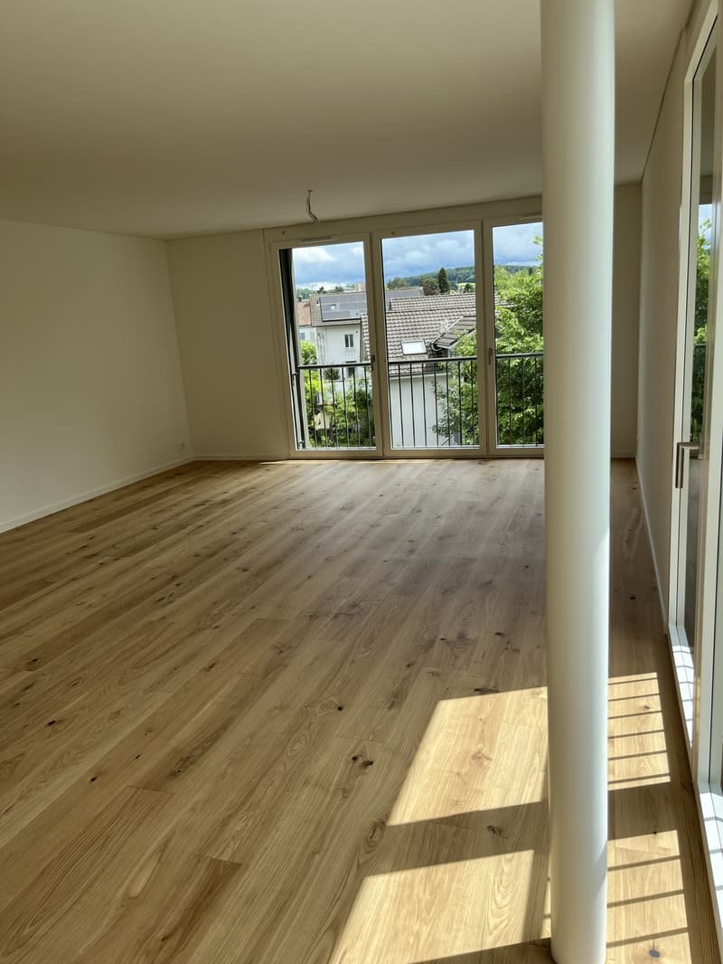Primo affitto 3.5 locali appartamento 158m2 stile loft, 2600.- Fr (2)