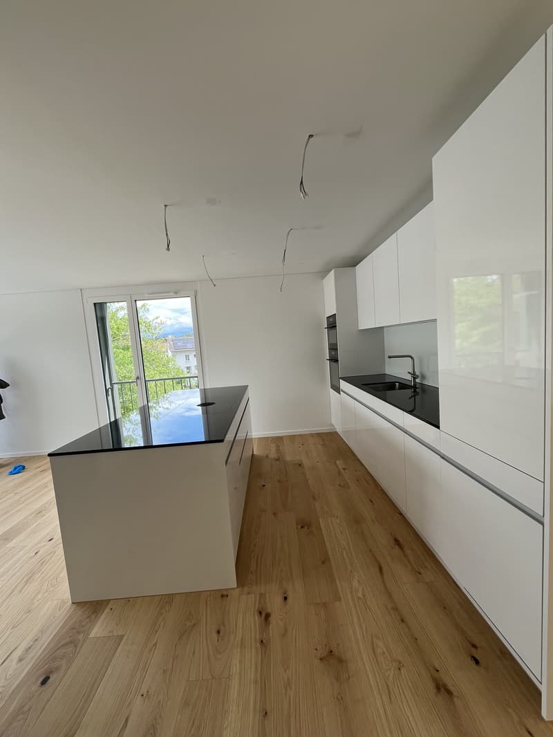 Primo affitto 3.5 locali appartamento 158m2 stile loft, 2600.- Fr (5)